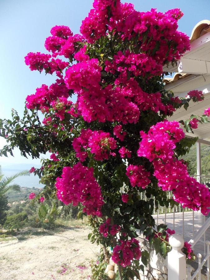 Villa Vasiliki View Ágios Pétros Exterior foto